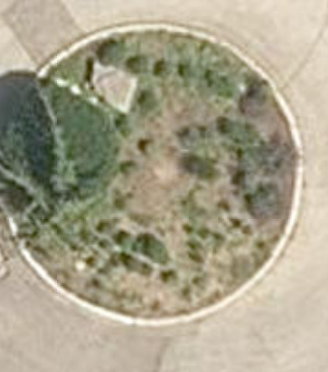 Crane Ave Cul-De-Sac — site photograph