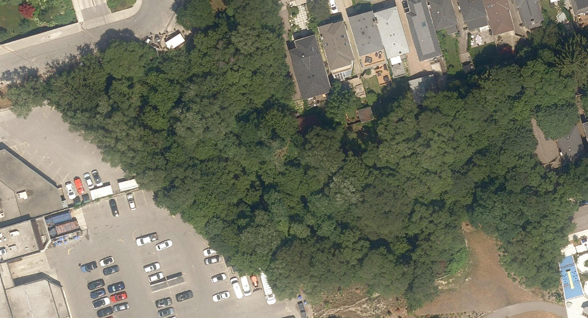Douglas Greenbelt — site photograph