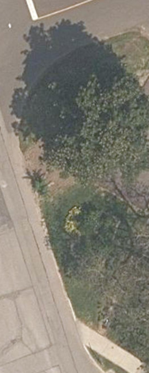 Chestnut Hills Island — site photograph