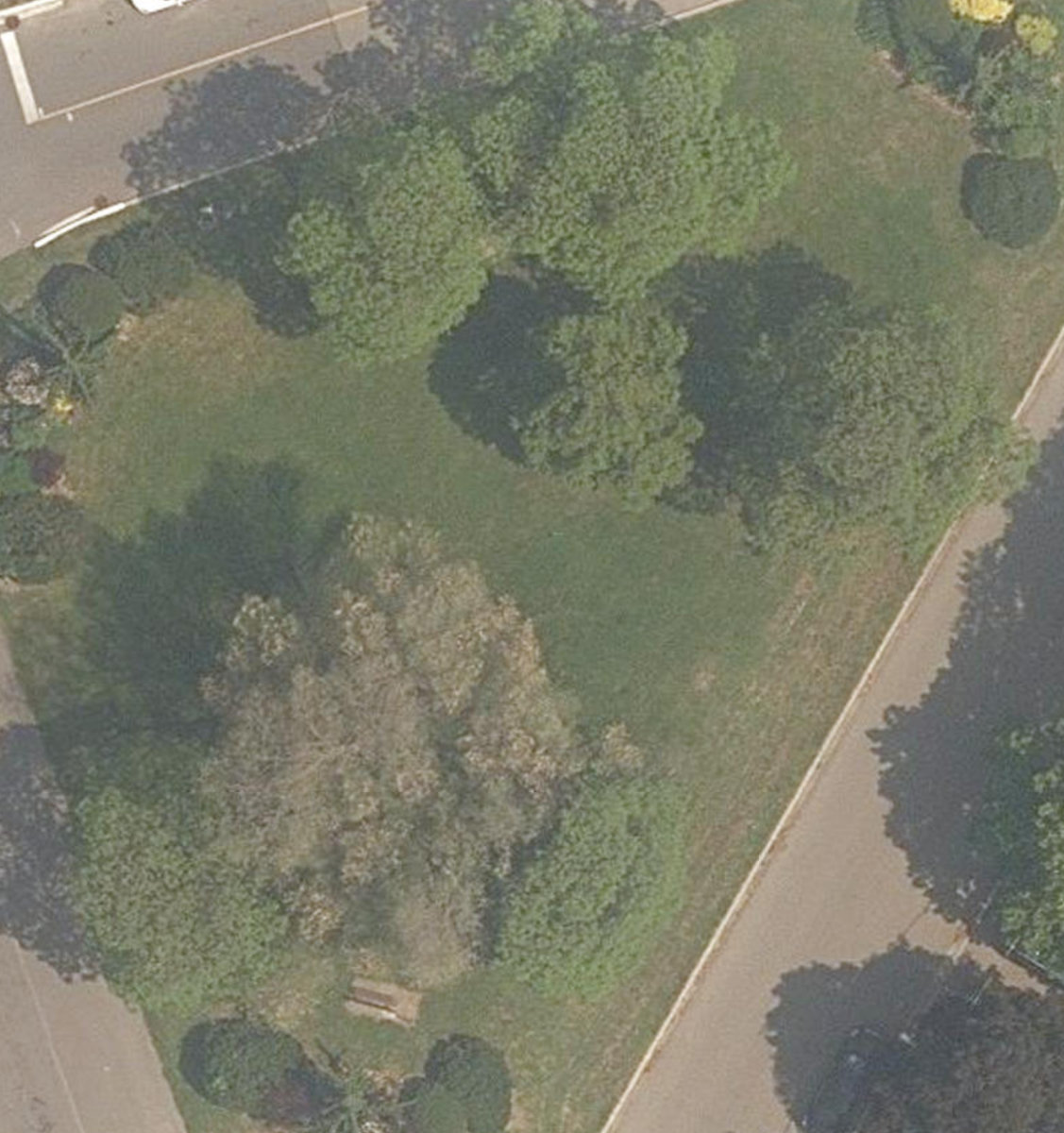 Rose Valley Park — site photograph