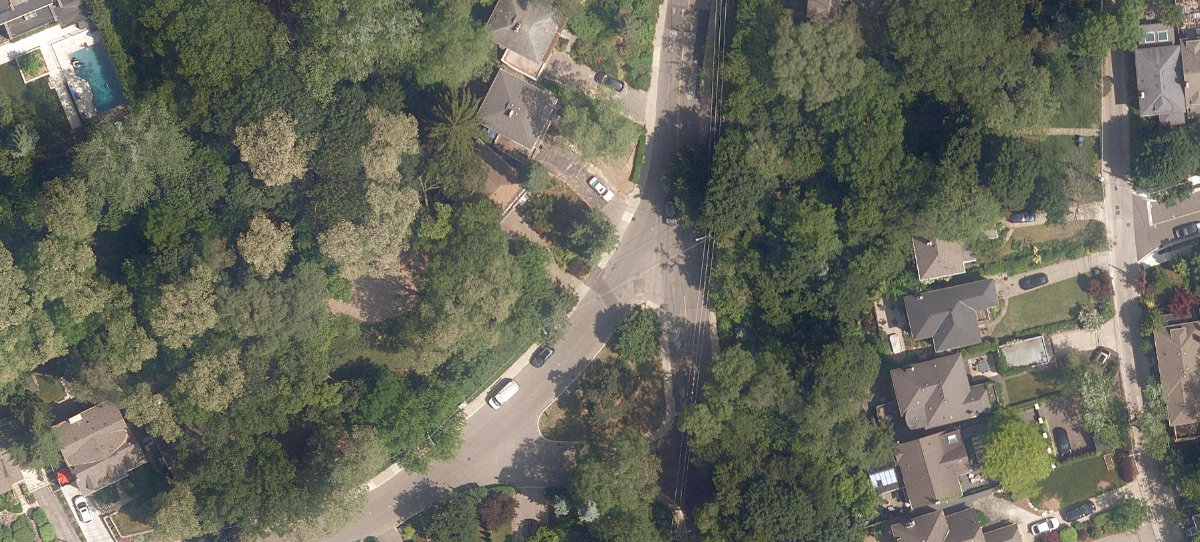 Cashman Park — site photograph