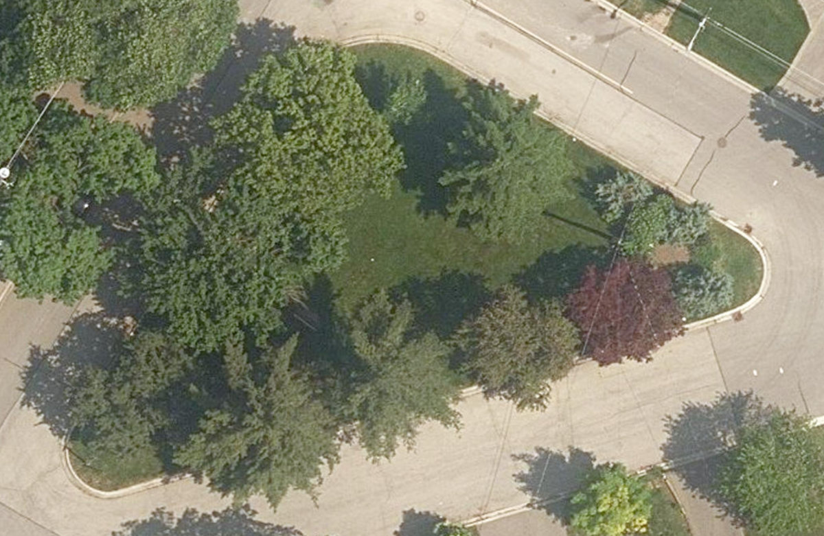 Elmlea Rd Traffic Island — site photograph