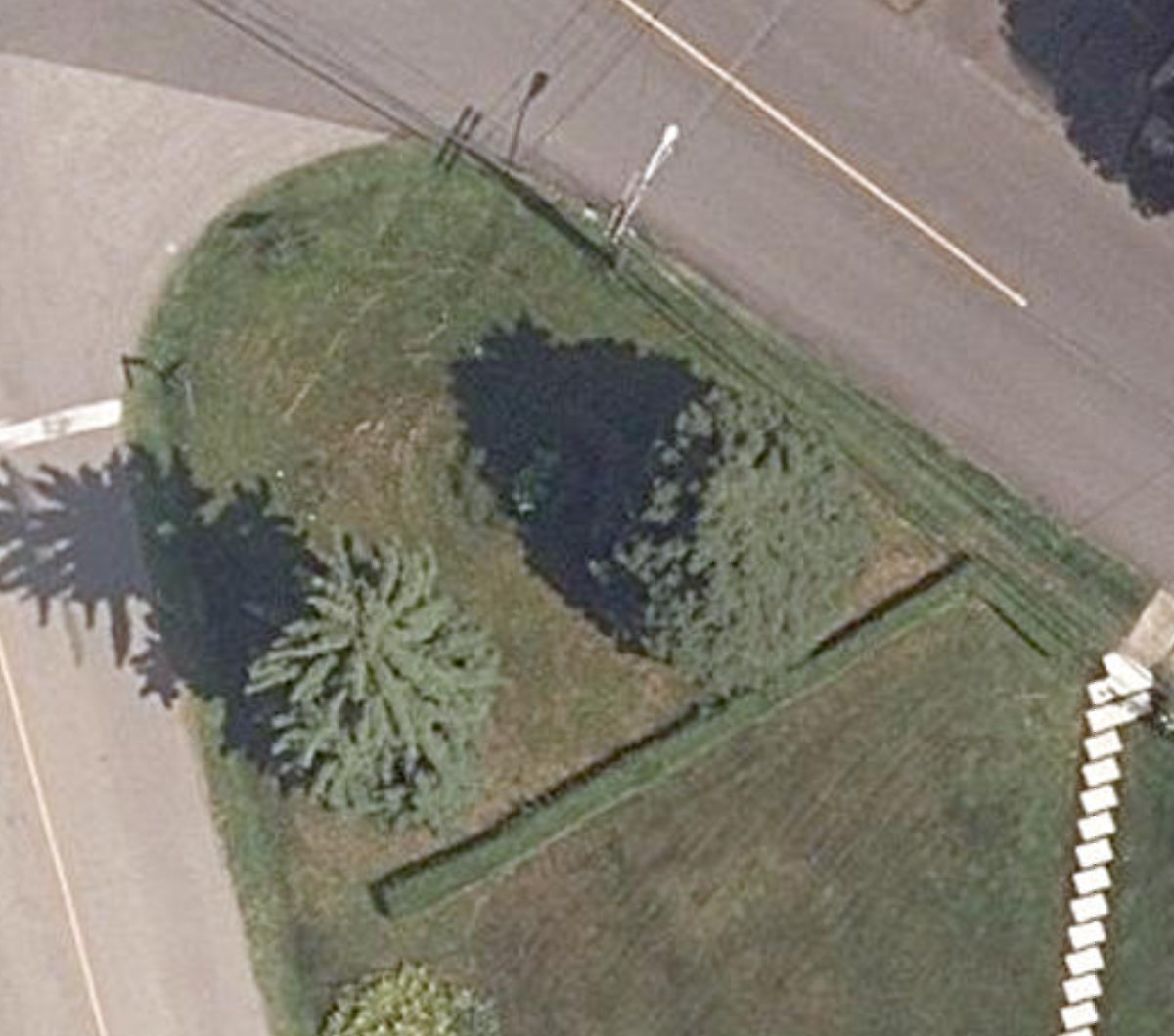 Spring Garden Rd Traffic Island — site photograph