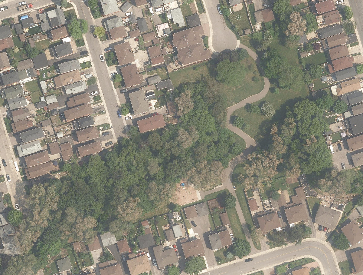 Dalrymple Park — aerial / top-down view