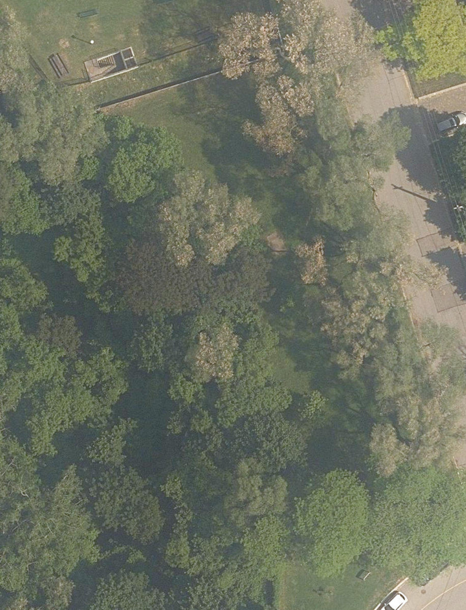 Gladhurst Park — site photograph