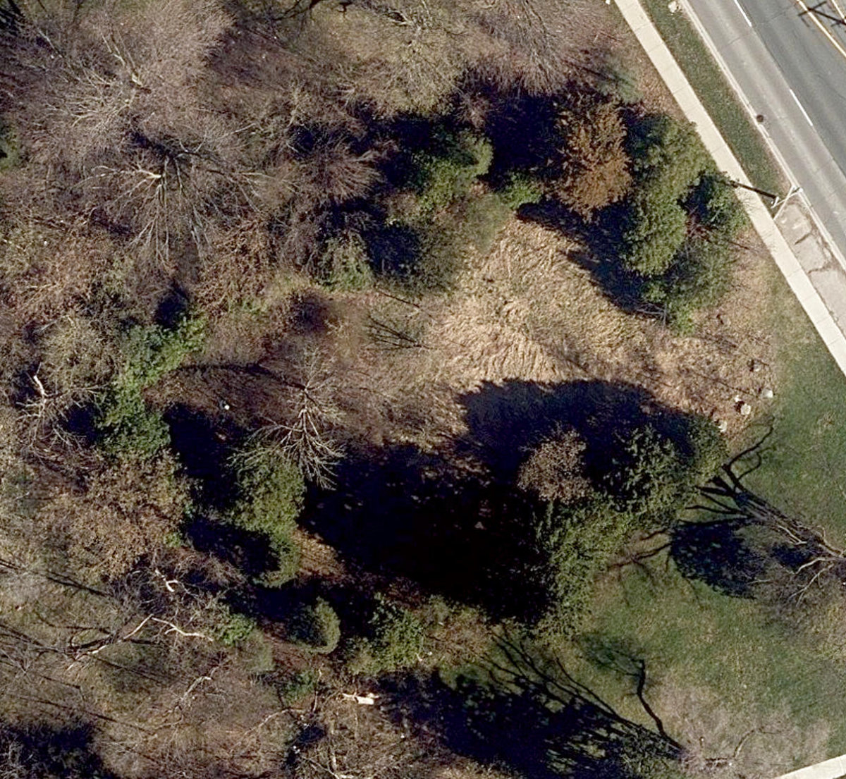 Trca Lands ( 42) — site photograph