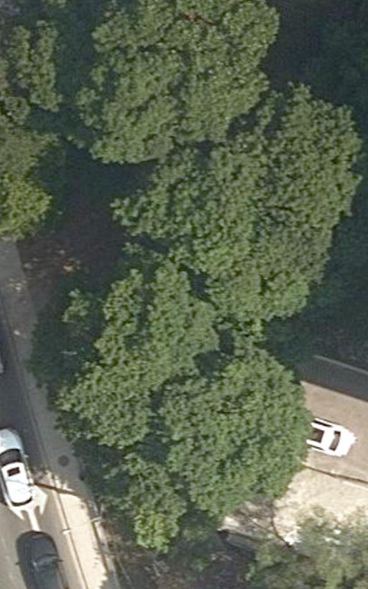 Weston - St. Phillips Parkette — site photograph
