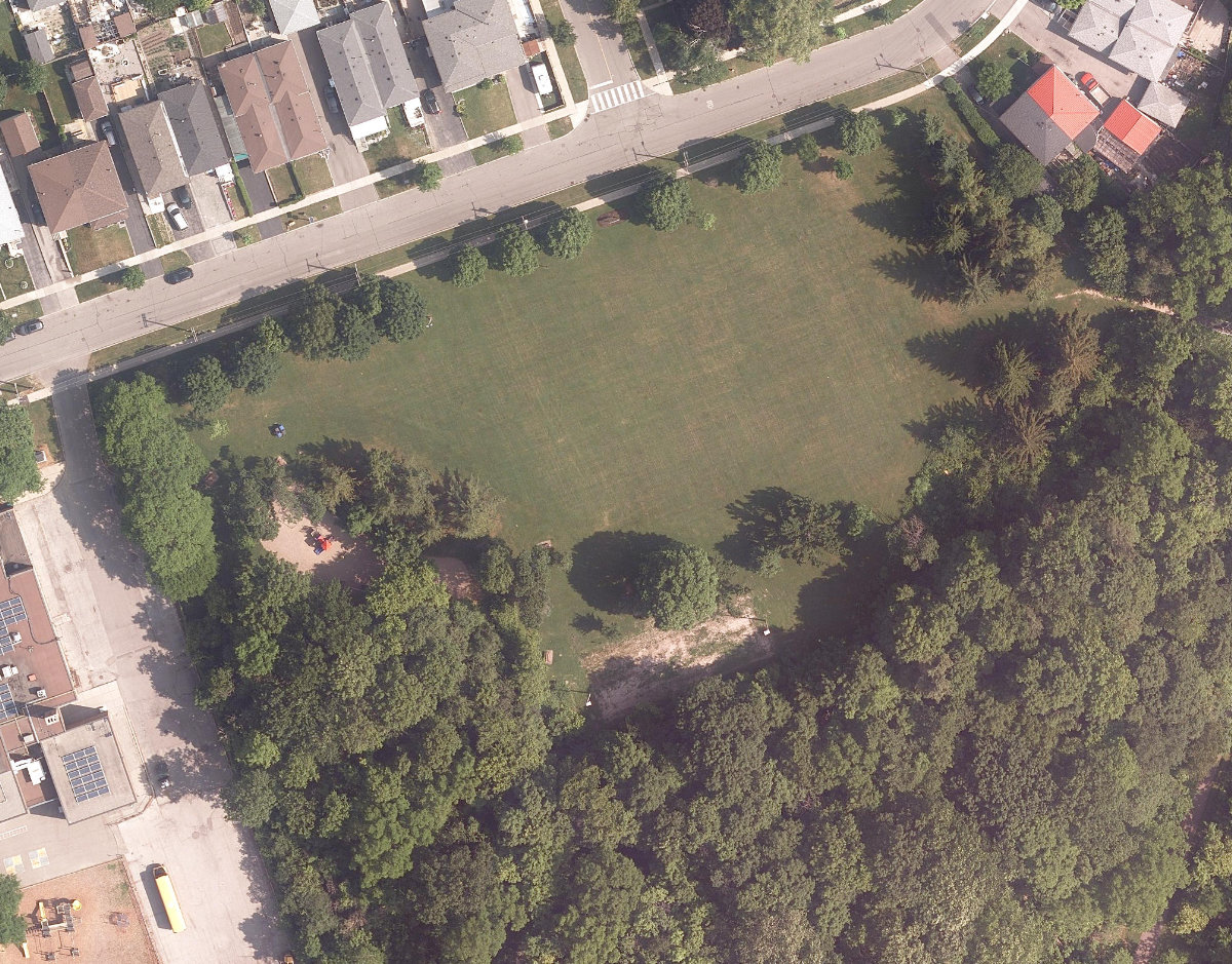 Topcliff Park — site photograph