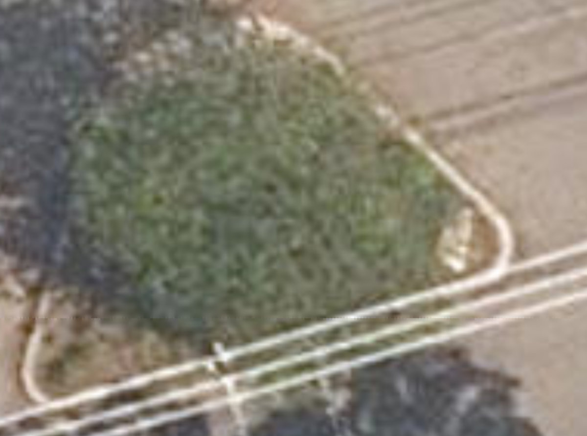 Roxborough - Chestnut Traffic Islands — site photograph