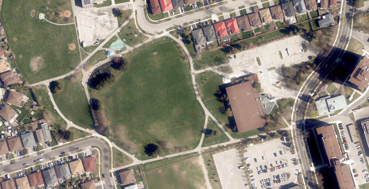 Elm Park - North York — site photograph