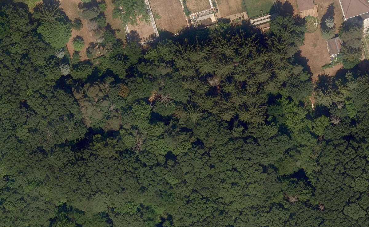 Trca Lands ( 56) — site photograph