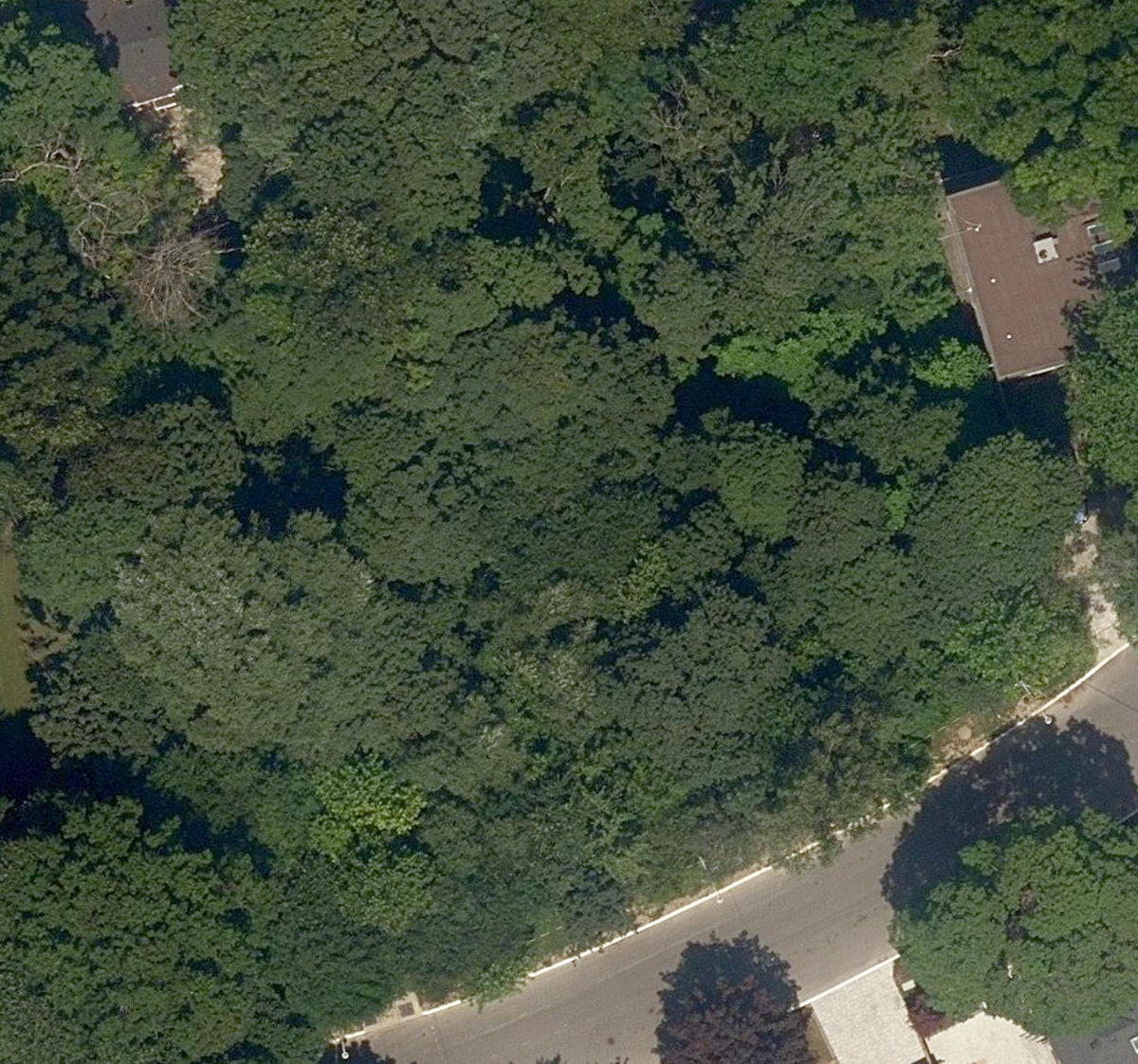 Kimbark - Coldstream Ravine — site photograph