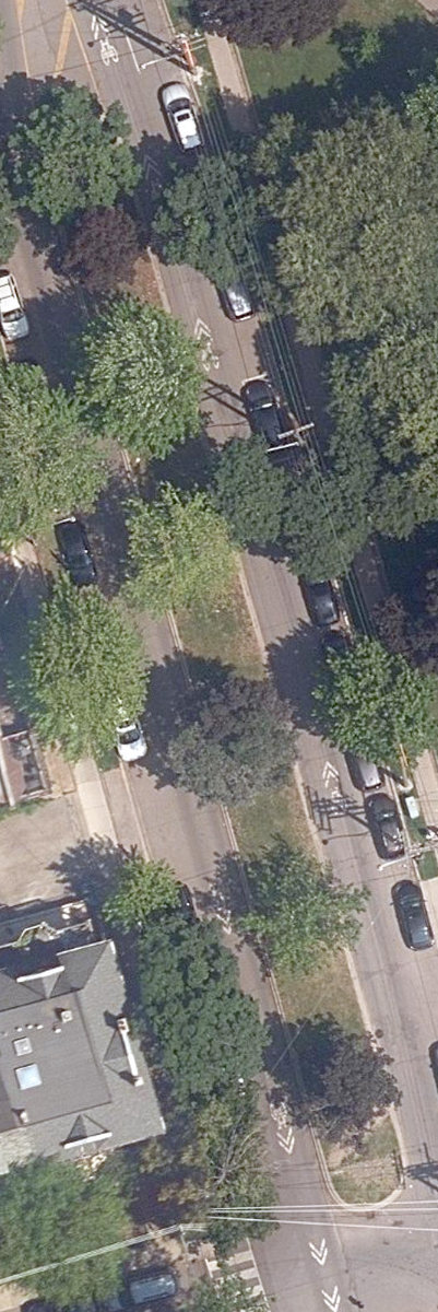 Shaw St Traffic Median North — site photograph