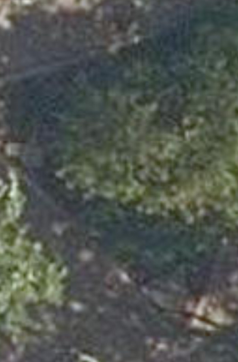 Chestnut Park Traffic Island — site photograph
