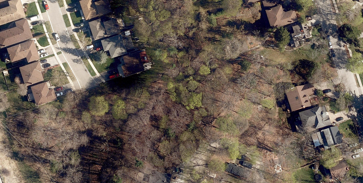 Curtin Park — site photograph