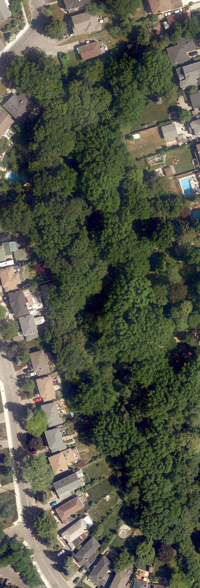 Midland Ravine — site photograph