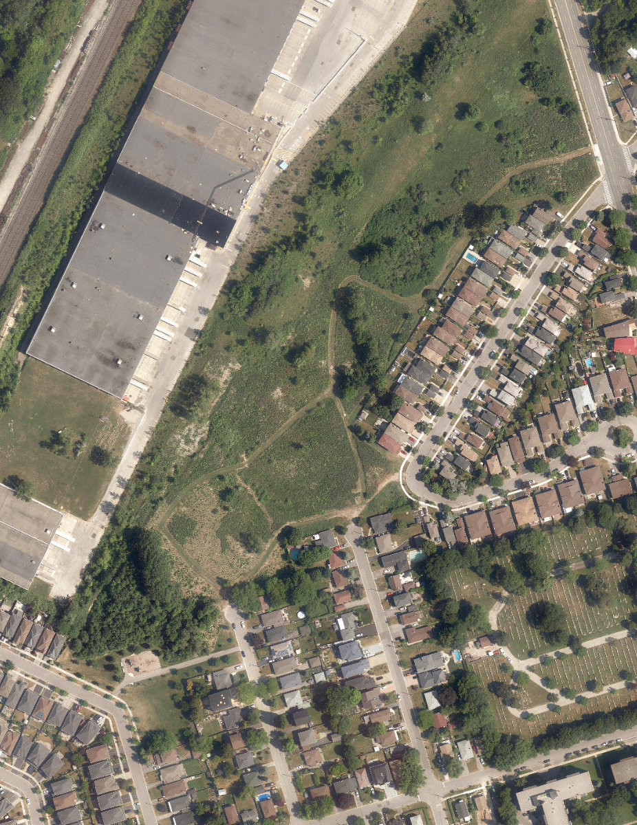 Jeanette Park — aerial / top-down view