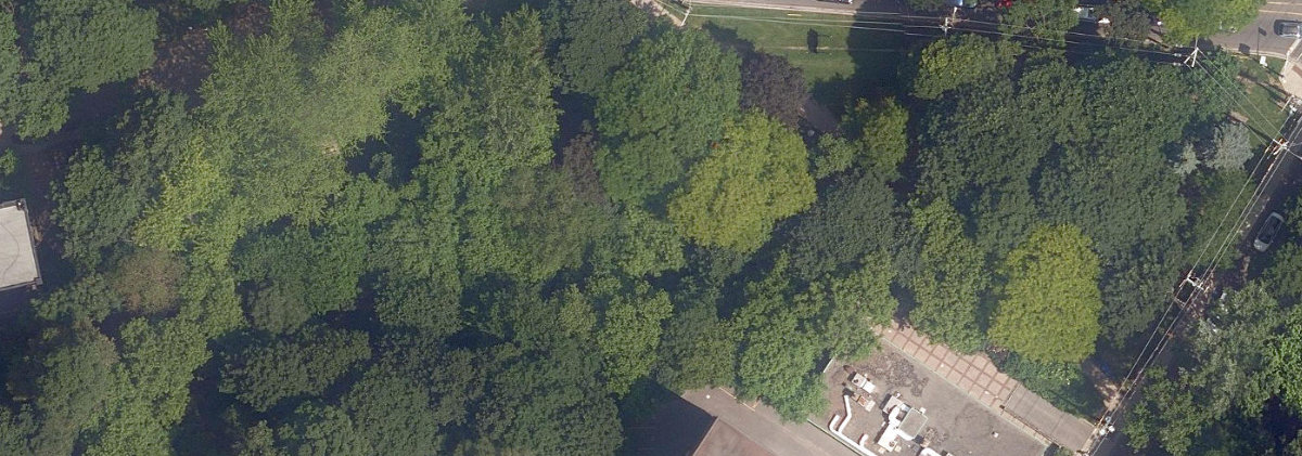 Lawren Harris Park — aerial / top-down view