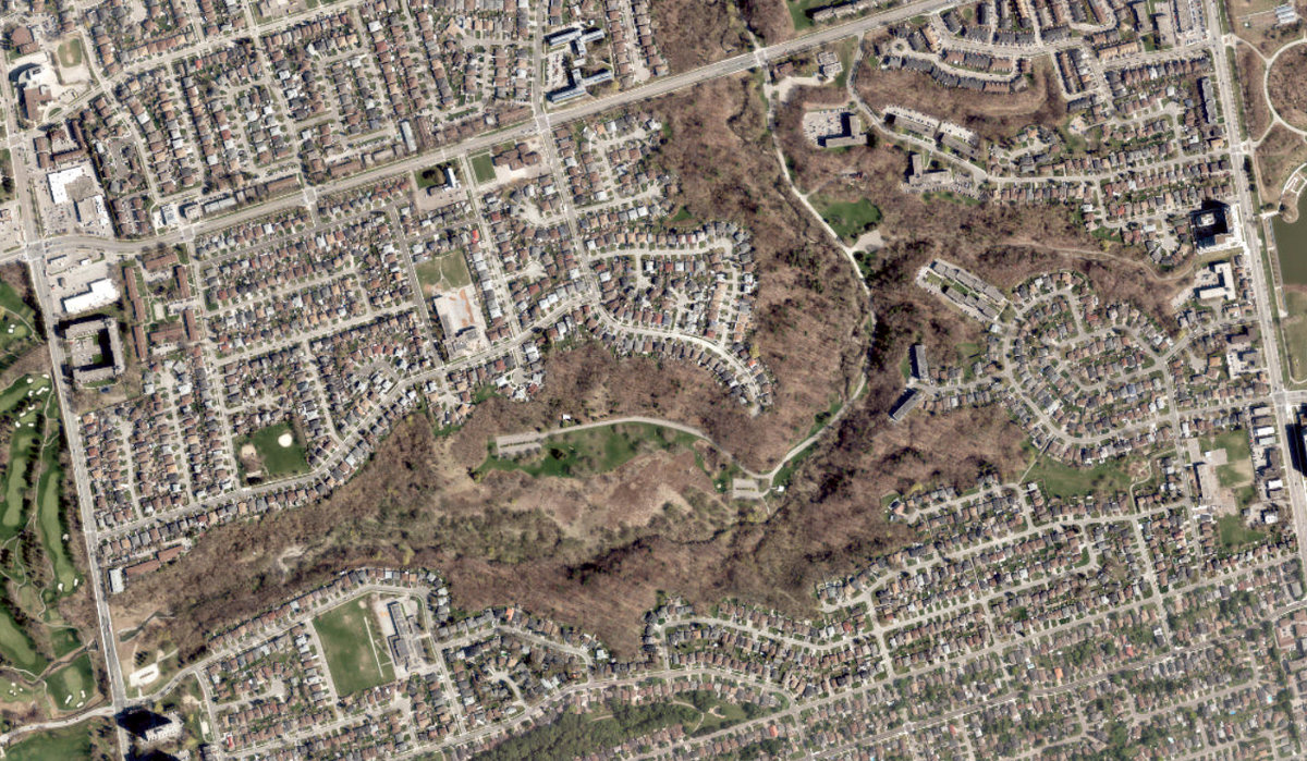Downsview Dells Park — site photograph