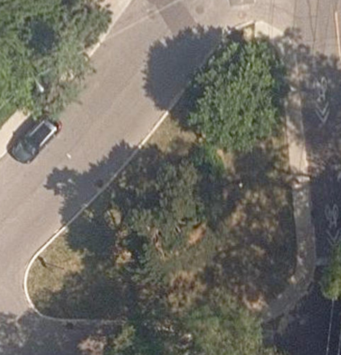 Cashman Park Island — site photograph