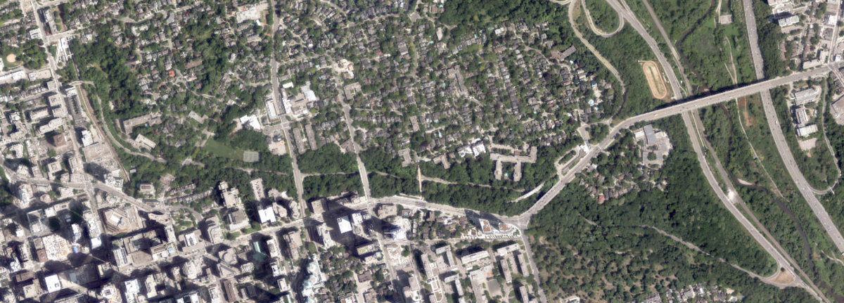 Rosedale Ravine Lands — site photograph