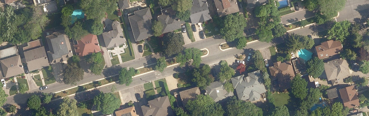 Old Forest Hill Traffic Island — site photograph