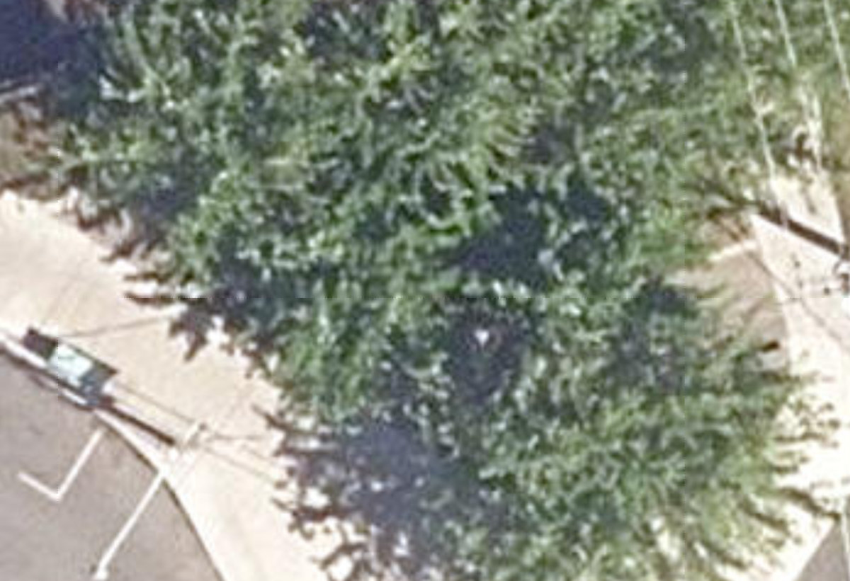 Casimir Traffic Island — site photograph
