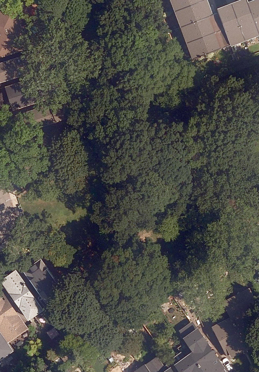 Cairns Avenue Parkette — site photograph