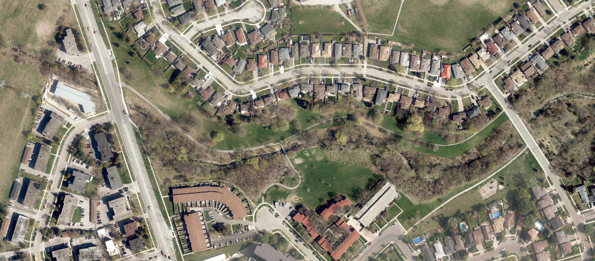 The Elms Park — site photograph