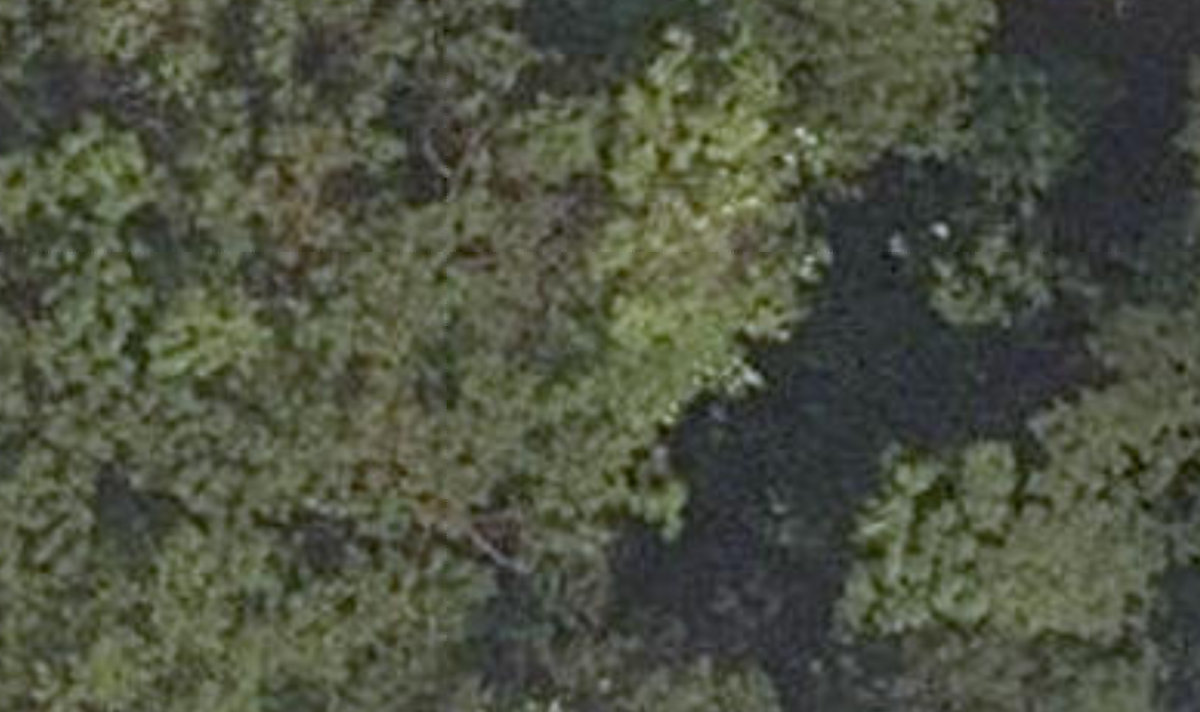Trca Lands ( 52) — site photograph