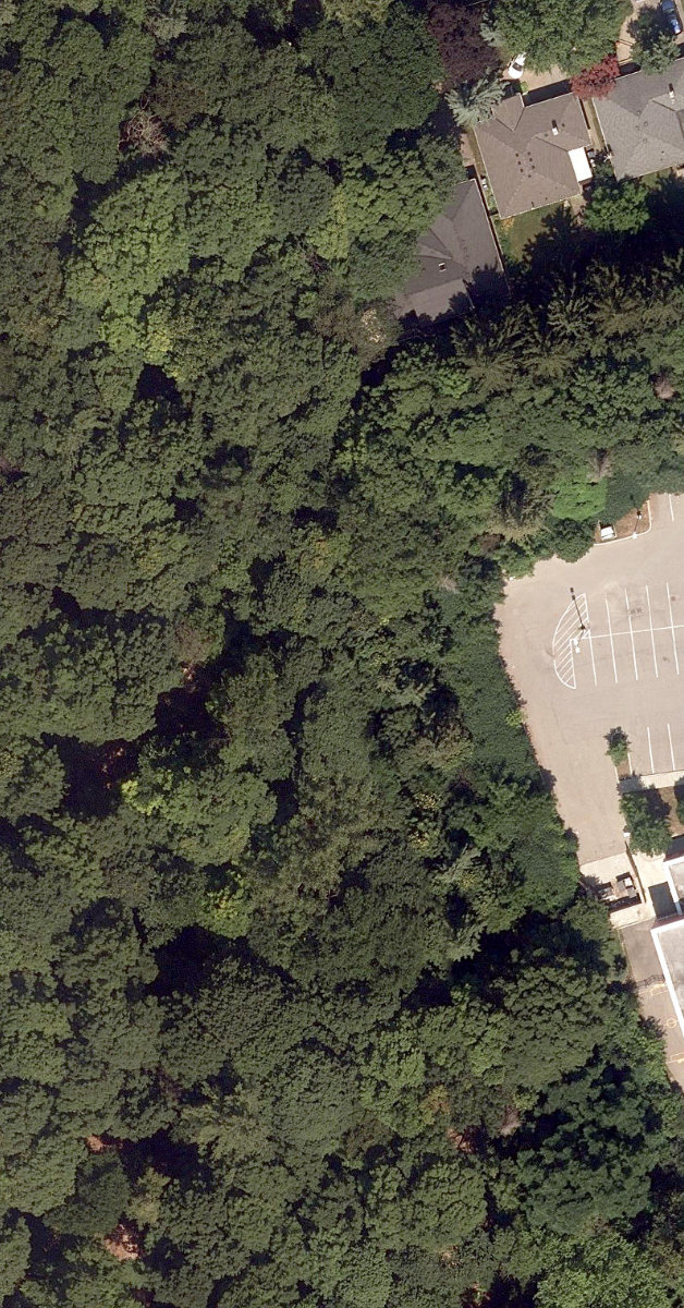 Trca Lands ( 53) — site photograph
