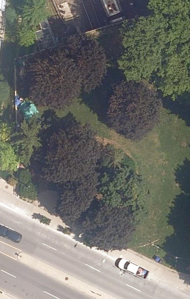 Harold Town Park — site photograph