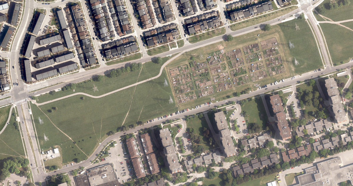 Four Winds Allotment Gardens — site photograph