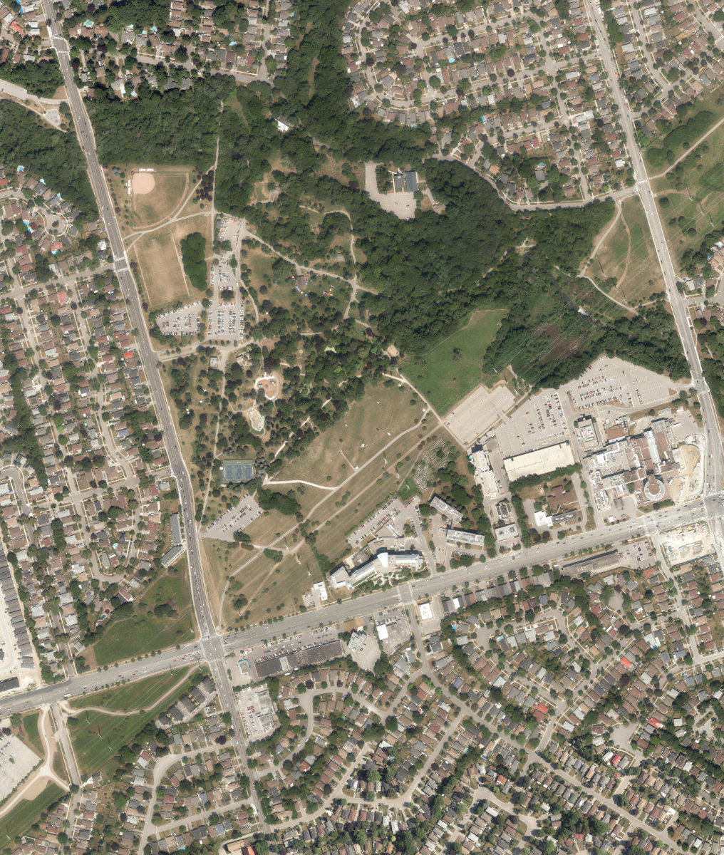 Thomson Memorial Park — aerial / top-down view