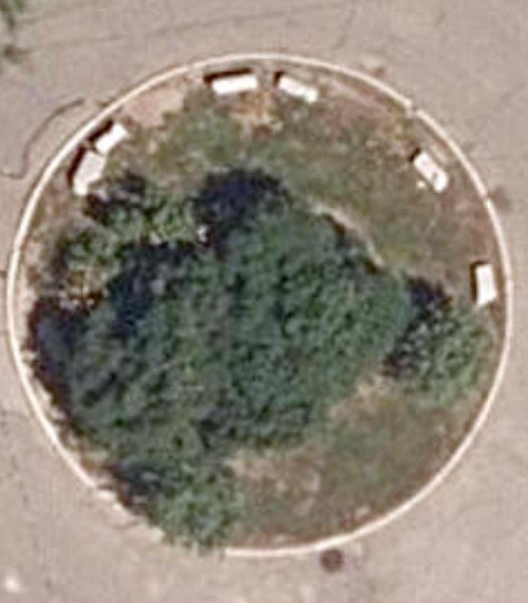 Neville Park Circle Traffic Island — site photograph