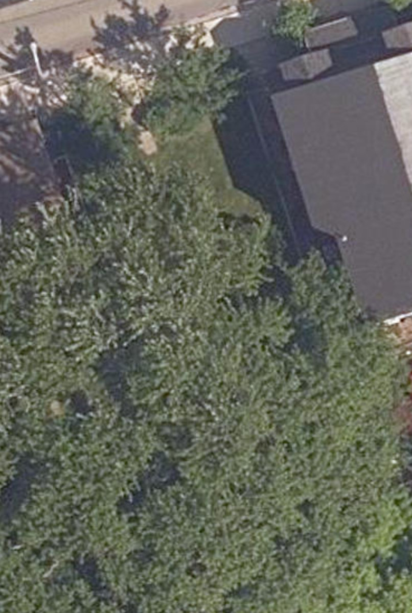 Thorogood Gardens — site photograph