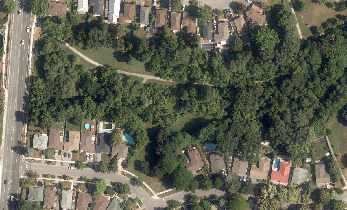 Pringdale Ravine — site photograph