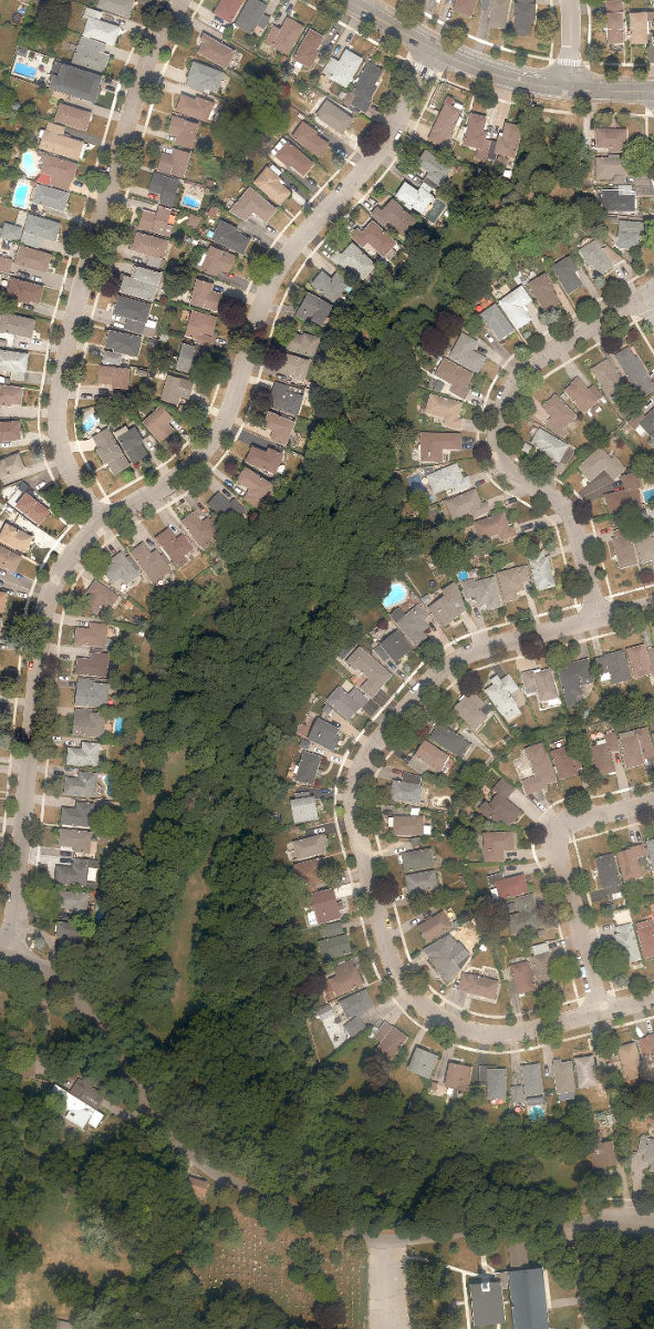 Amberdale Ravine Park — aerial / top-down view