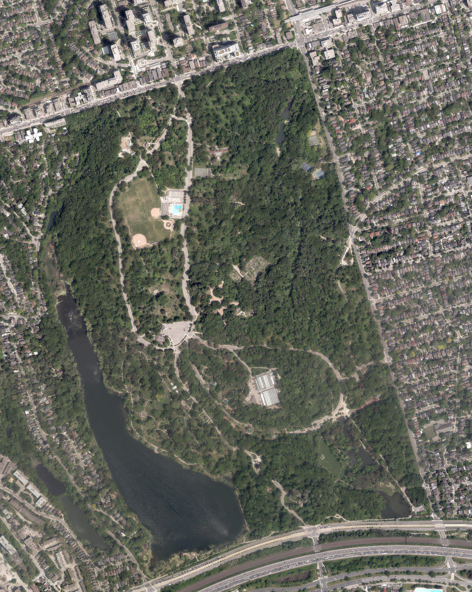 High Park — aerial / top-down view