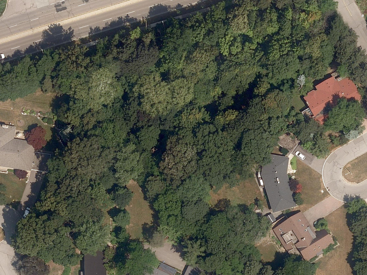 Spinney Greenbelt — site photograph