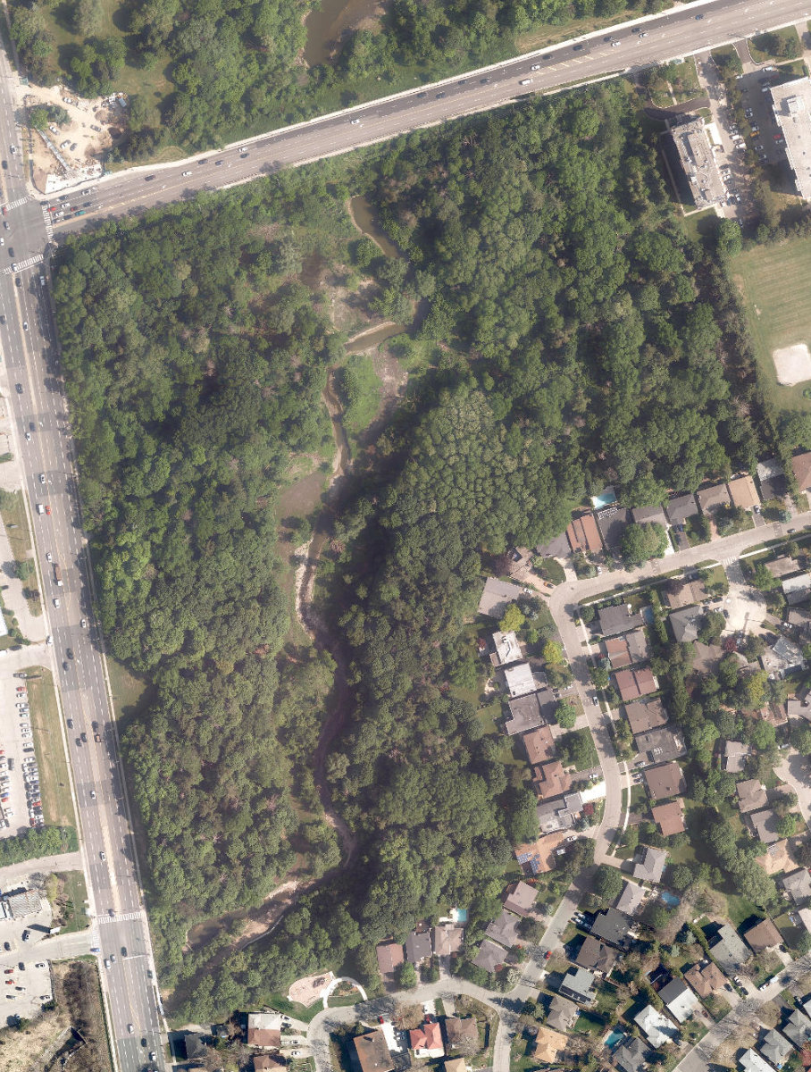 Trca Lands ( 78) — site photograph