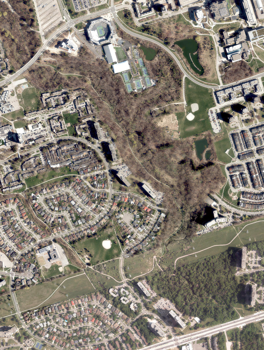 Black Creek Parkland — site photograph