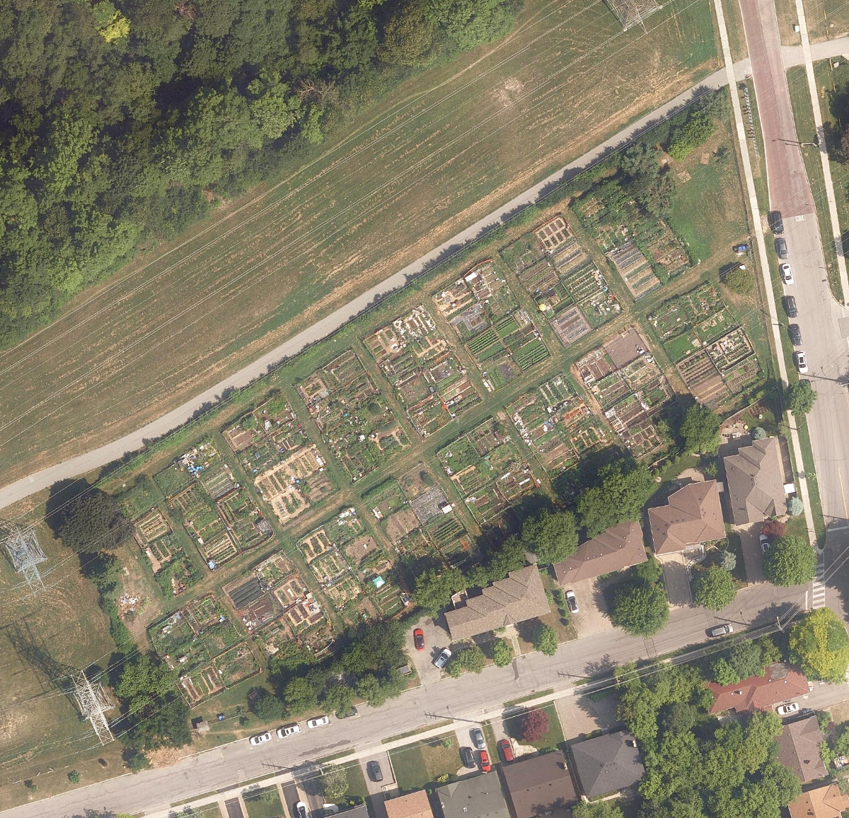 Bishop Allotment Gardens — site photograph