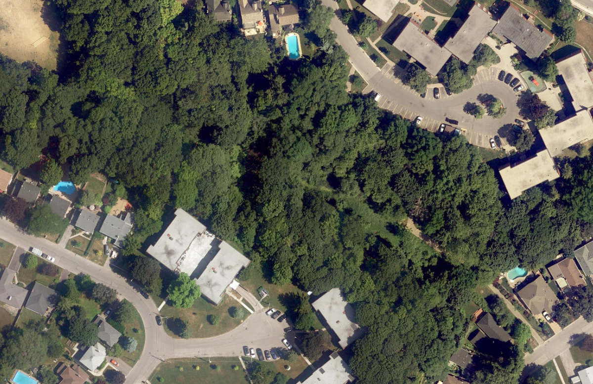 Cliffside Ravine — aerial / top-down view