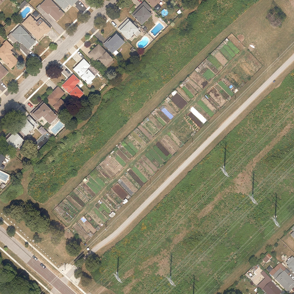 Daventry Garden — site photograph