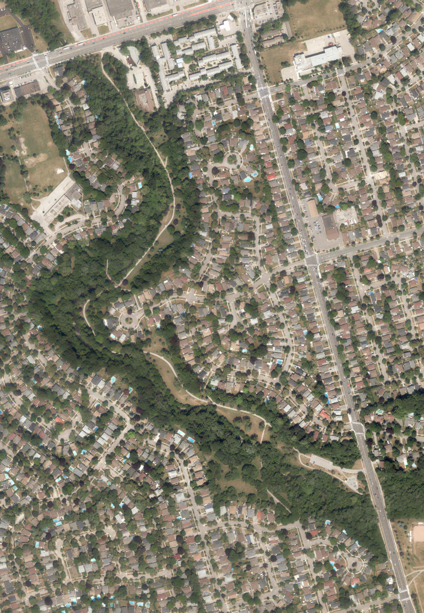 Birkdale Ravine — site photograph