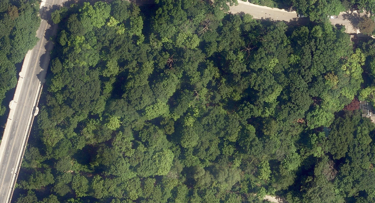 Beaumont Park — site photograph