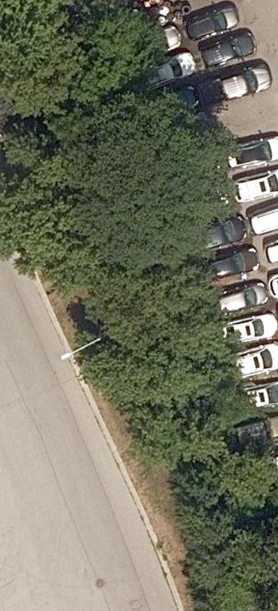 Asterfield - Plumrose Blvd Parkette — site photograph