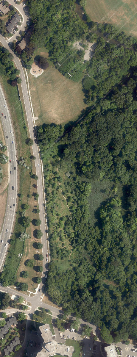 Linkwood Lane Park — site photograph