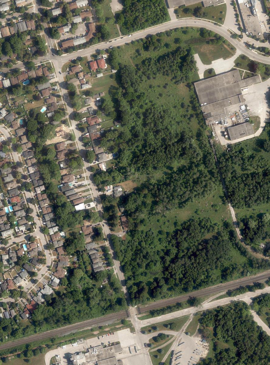 Grey Abbey Ravine — site photograph